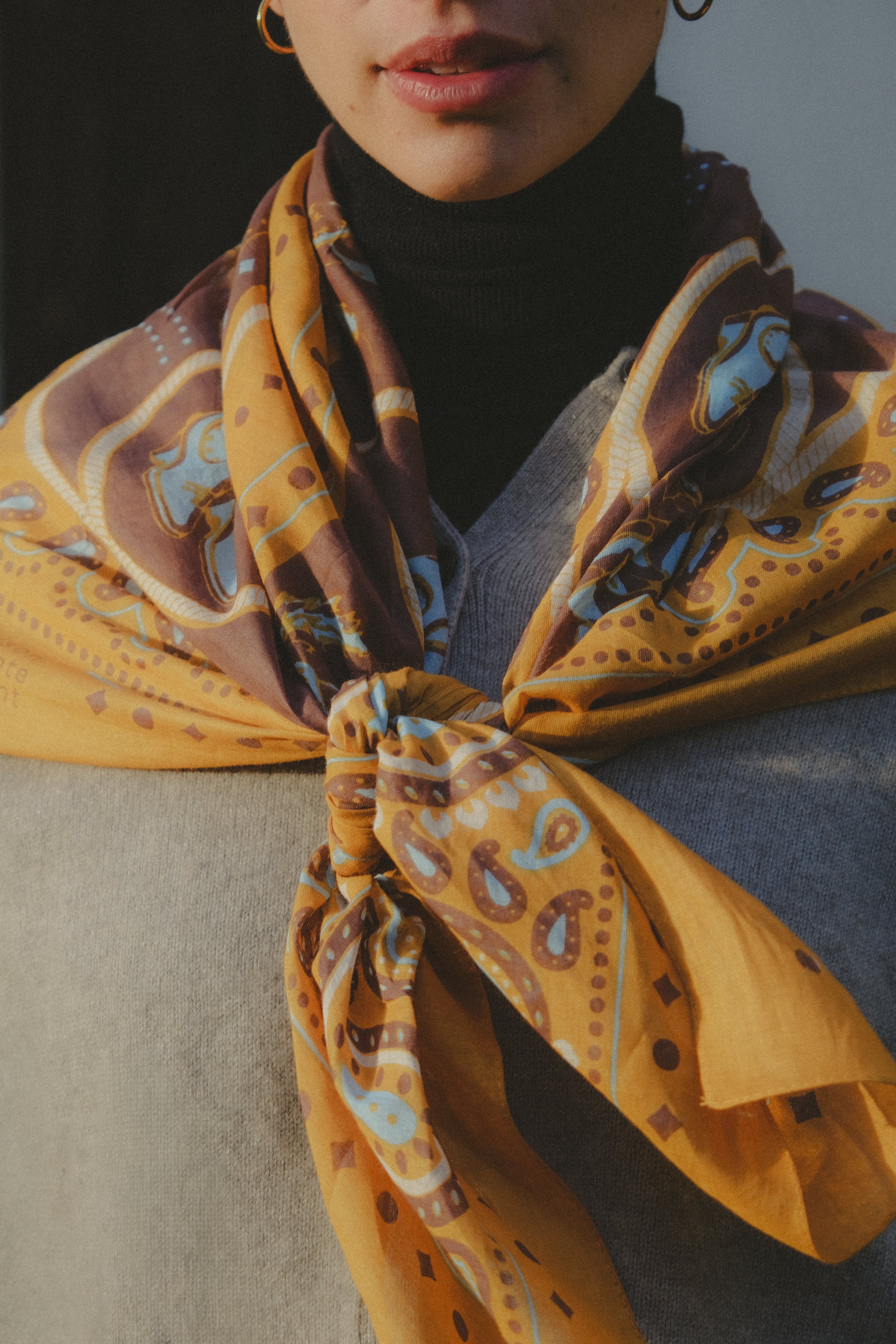 Rodeo Camel coton