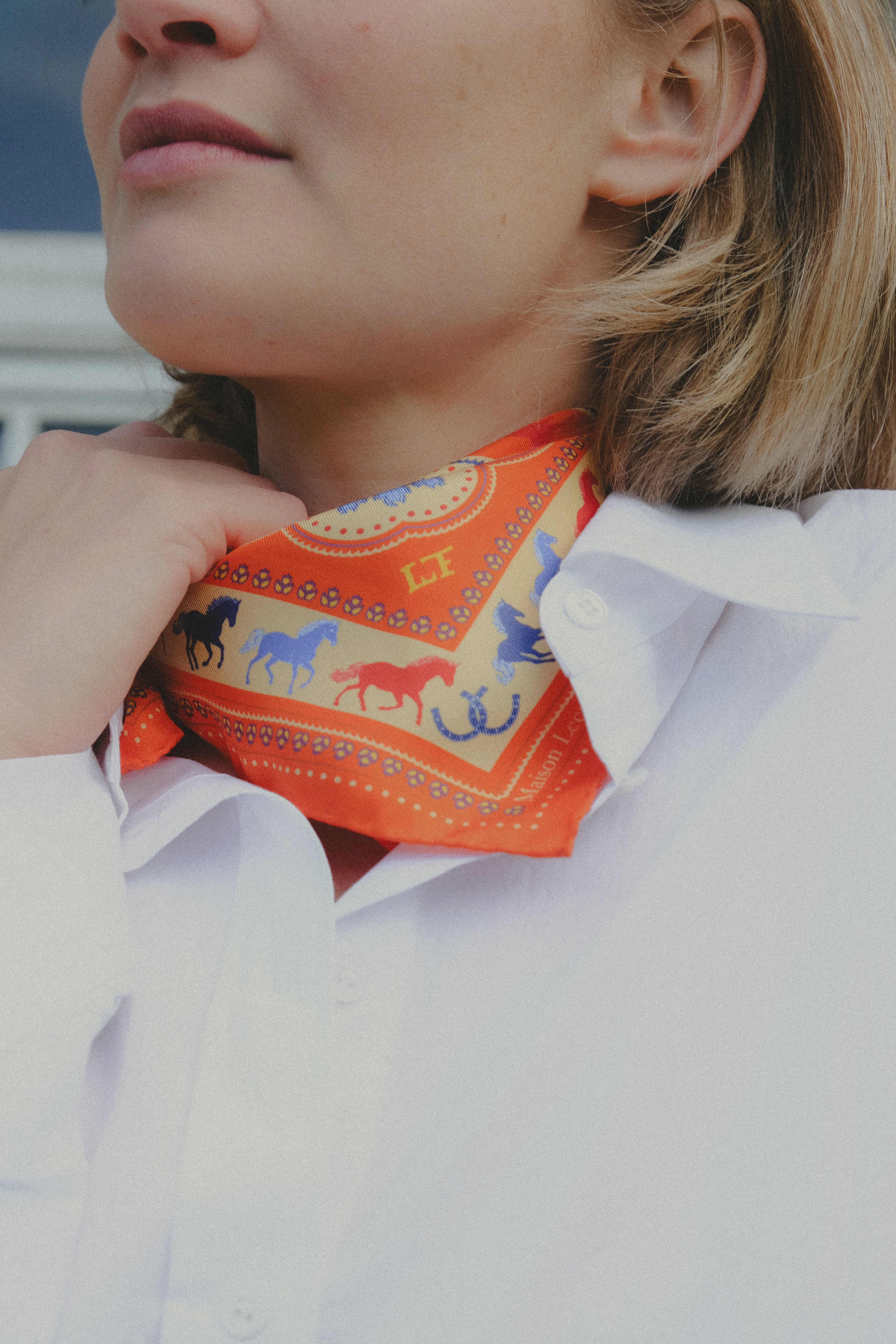 Small Equestrian Sanguine Silk