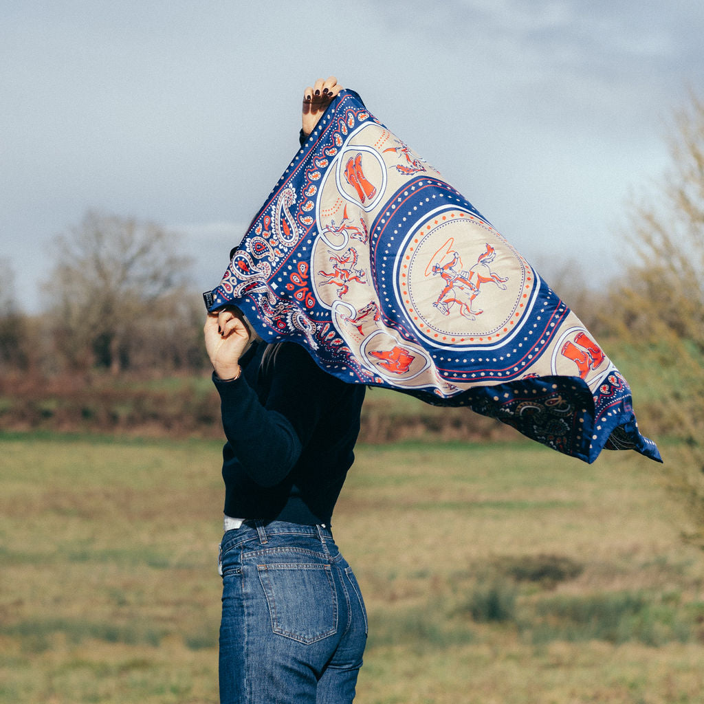Rodeo navy silk