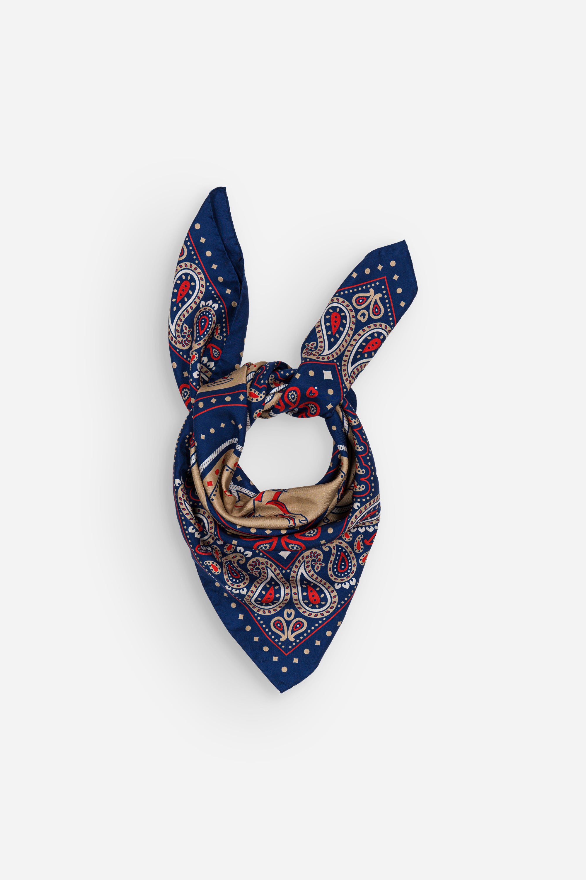 Rodeo navy silk