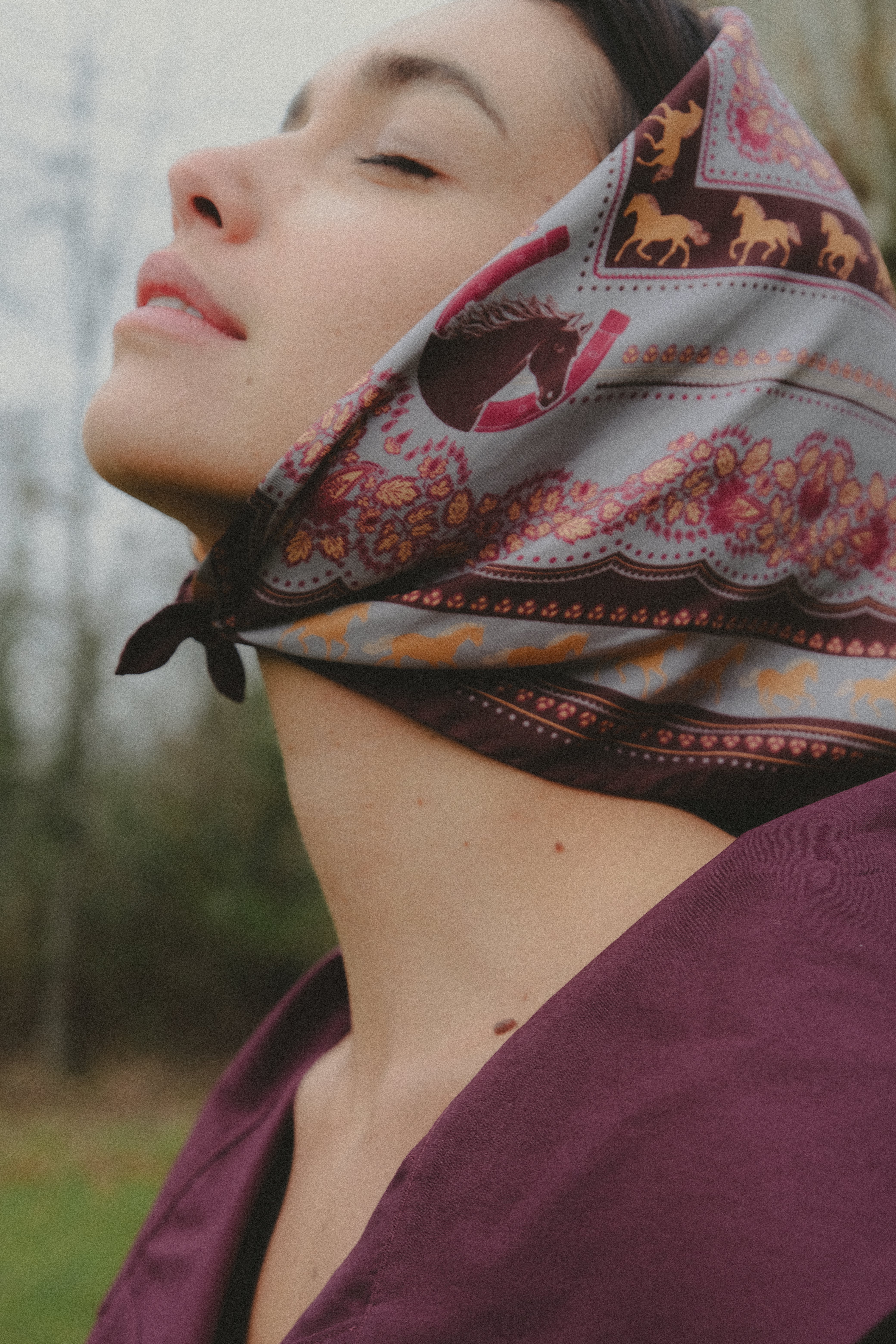 Small Equestrian Cabernet Silk