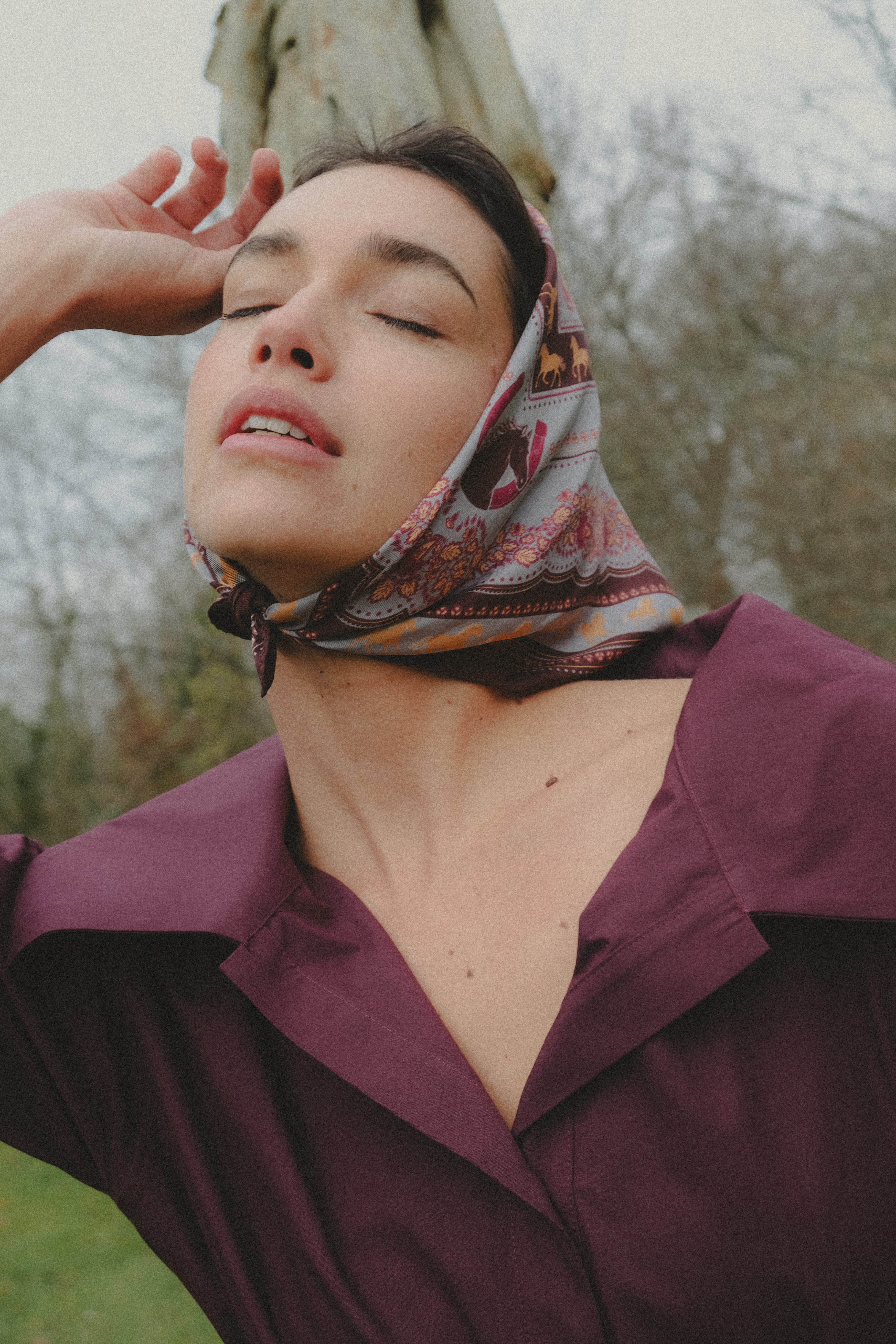 Small Equestrian Cabernet Silk