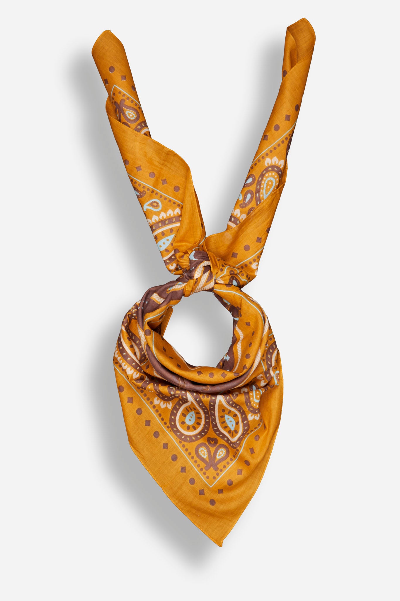 Rodeo Camel coton