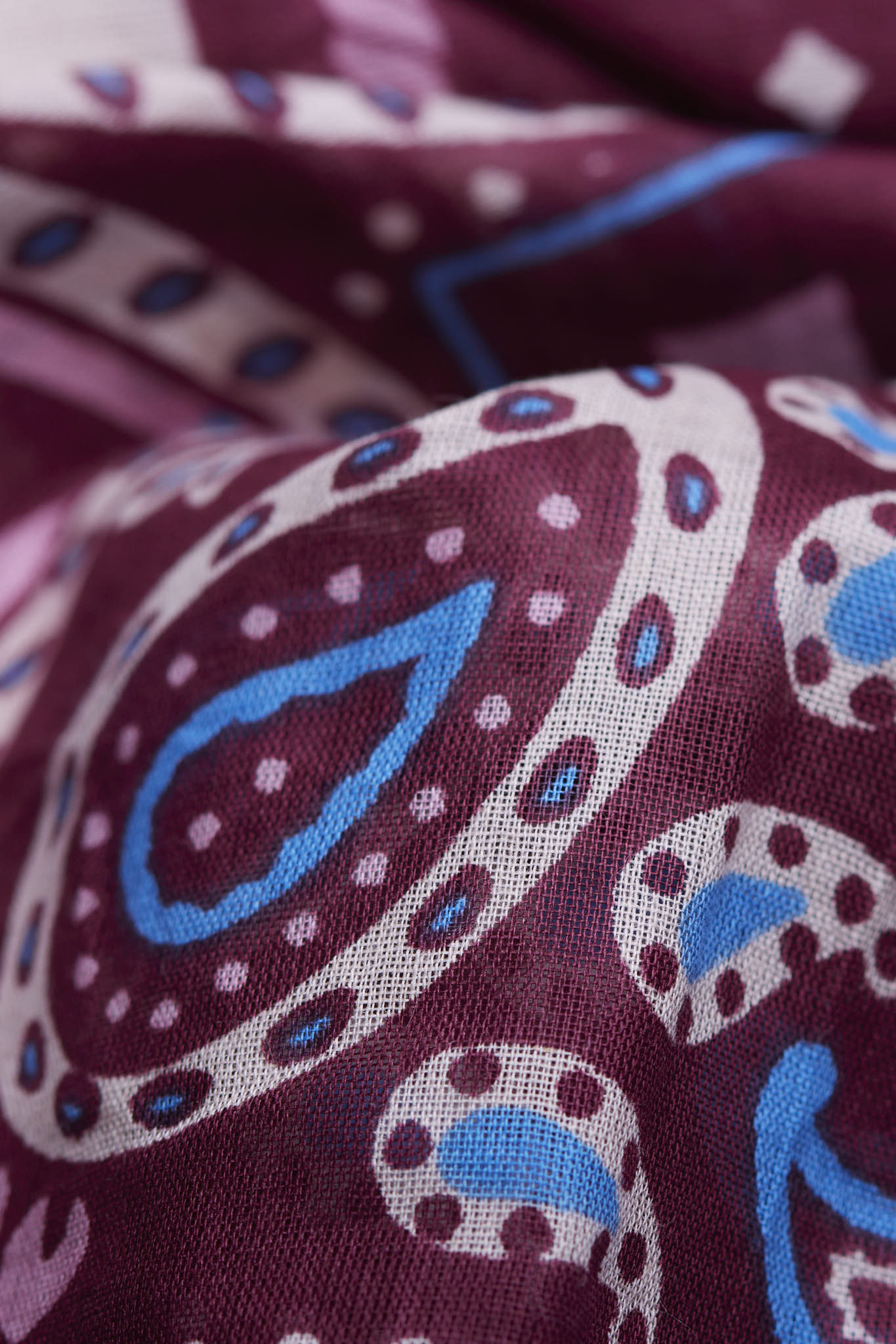Rodeo Cabernet coton